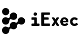 logo i exec