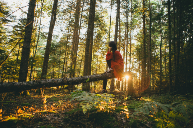 a woman sitting on a tree in the forest