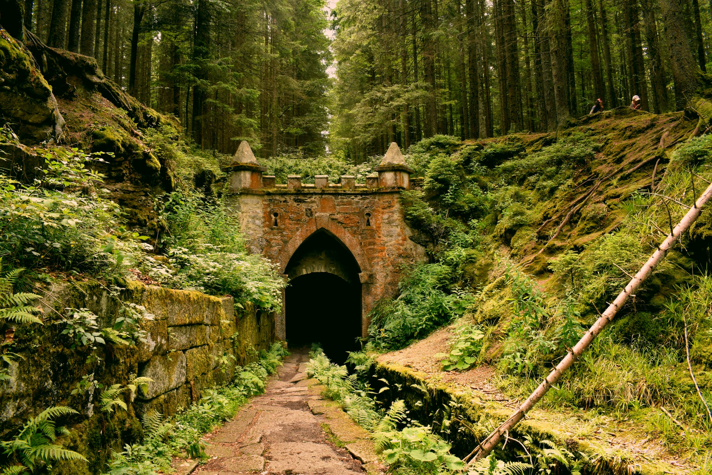 Ferns, moss, and dirt cover the ruins of an old castle.