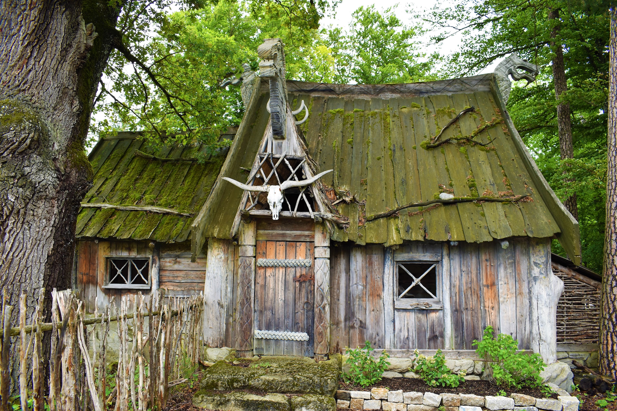 An old wooden shack with a moss-green roof.