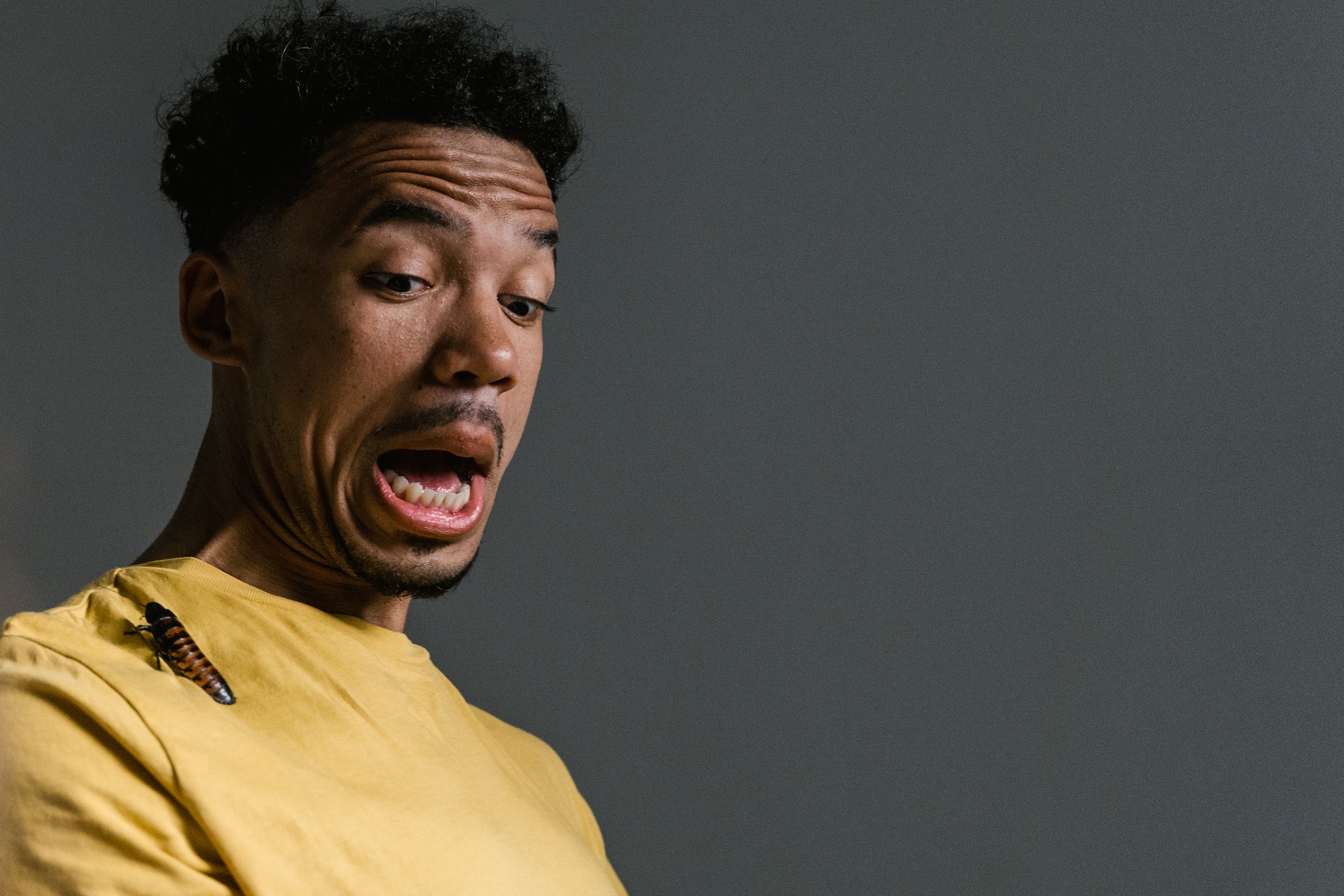 A person screams as a huge bug crawls over their shoulder.