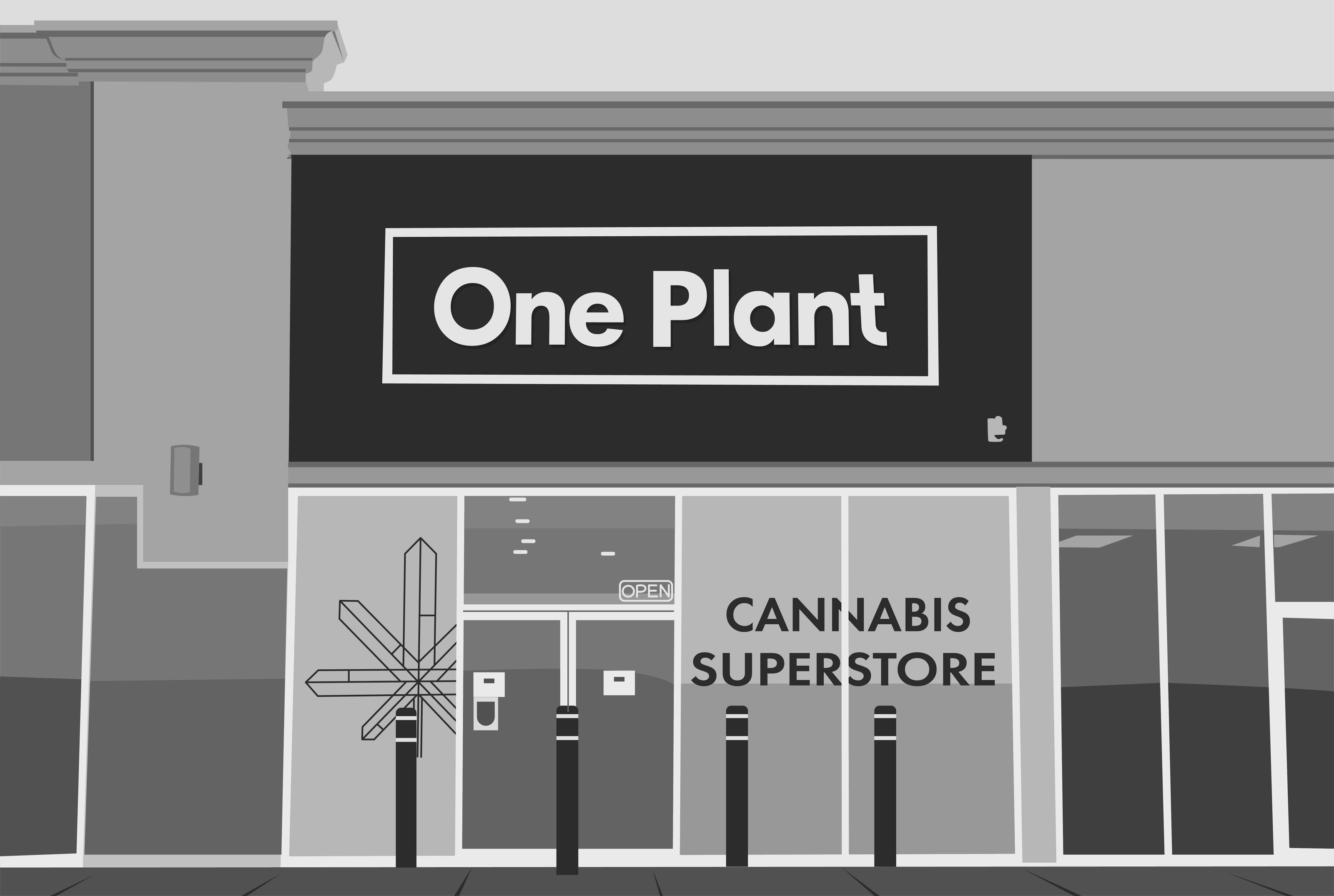Annulus Plant Vs. [Similar Plant]: Which One Should You Grow? - d27ocrp