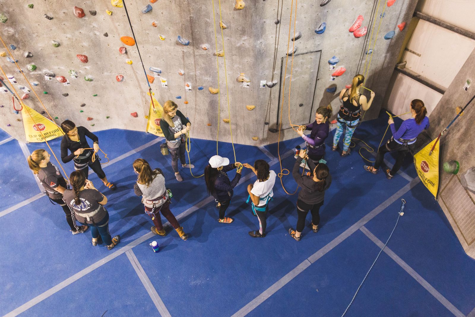 High Point Climbing and Fitness Chattanooga