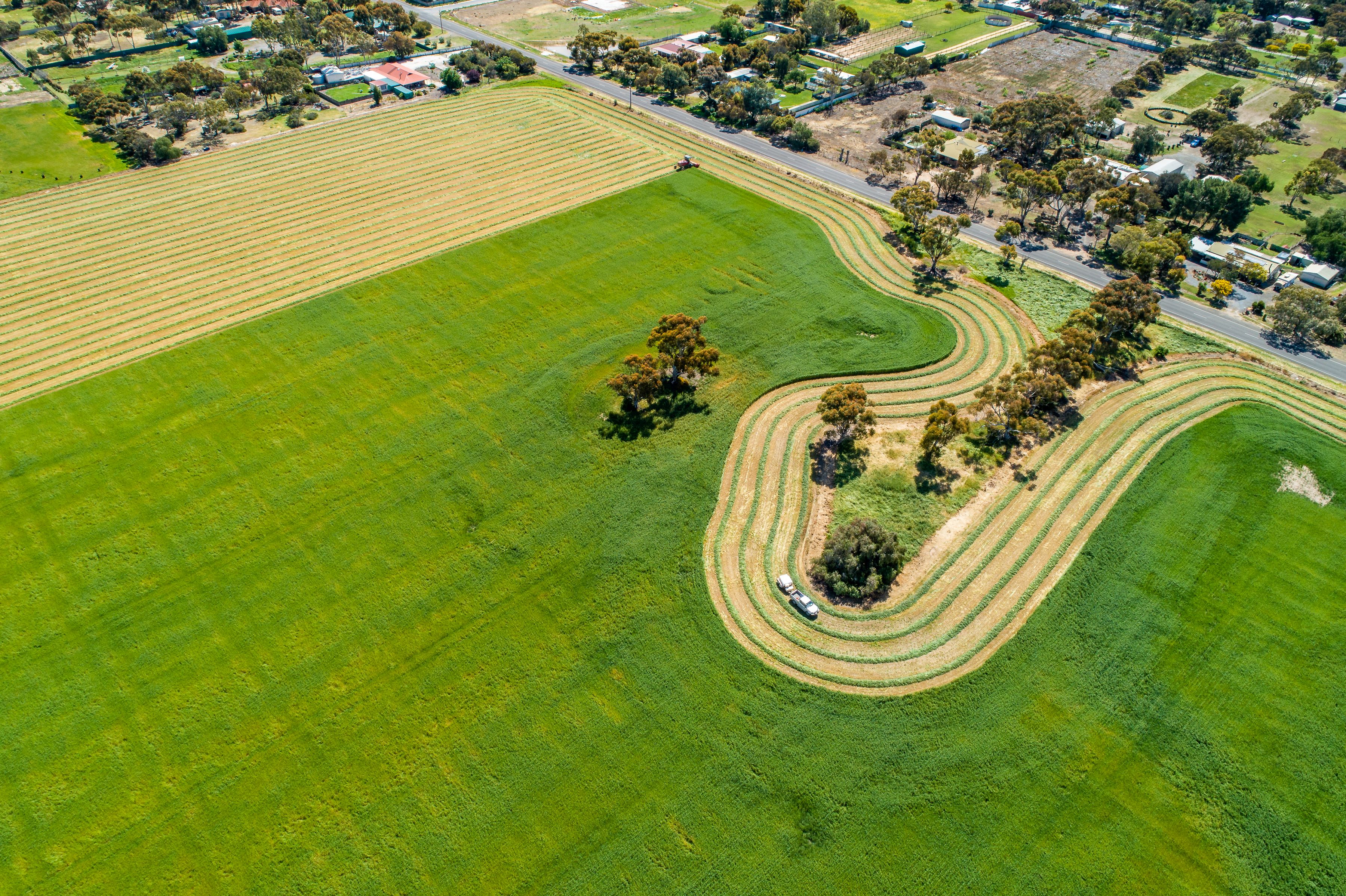 Field and Country living estate at Lewiston - FINAL RELEASE | Oakford Homes