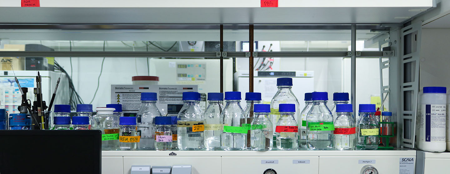 Achim Kramer Lab Publications