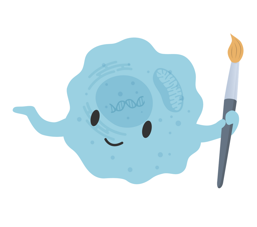 Scientific Image and Illustration Software | BioRender