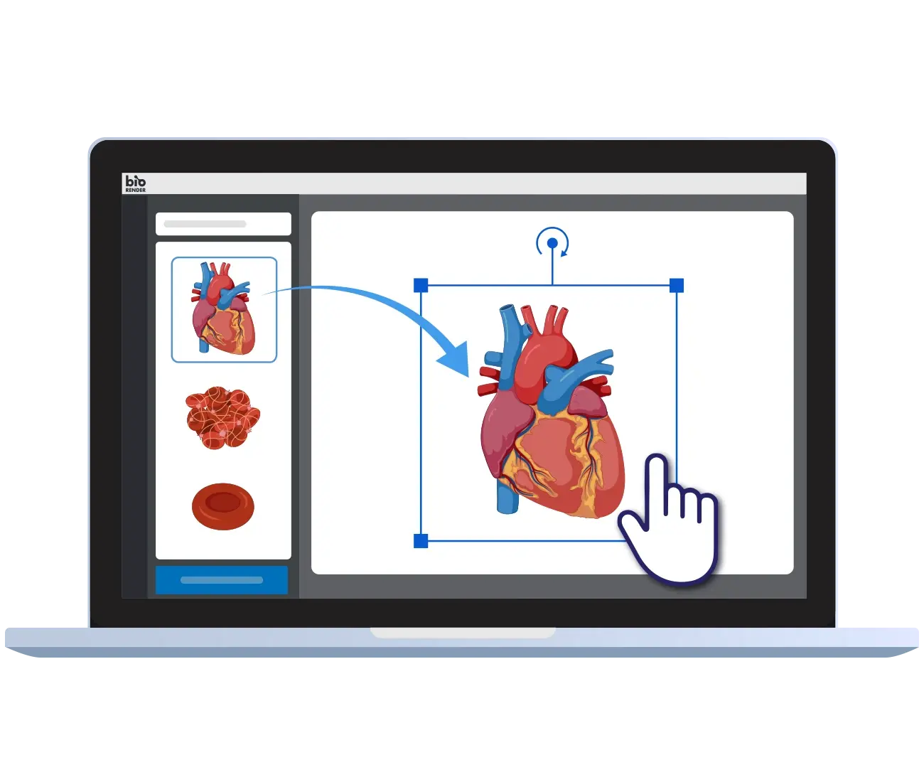 Draw it to Know it, Medical & Biological Sciences - Home