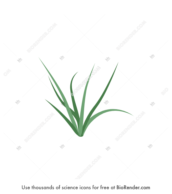 Free Grass Icons Symbols Images BioRender