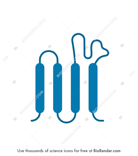 Tspan Icon Free Tetraspanin Icons, Symbols & Images | BioRender