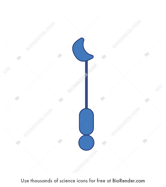 Free IRE1 (monomer, inactive) Icons, Symbols & Images | BioRender