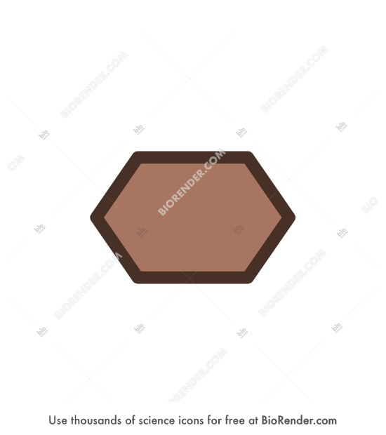 Free Mur Icons, Symbols & Images | BioRender