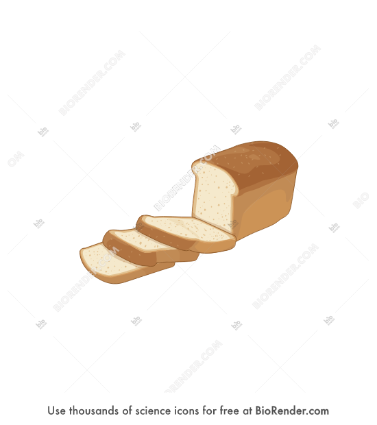 Free Bread Icons, Symbols & Images | BioRender