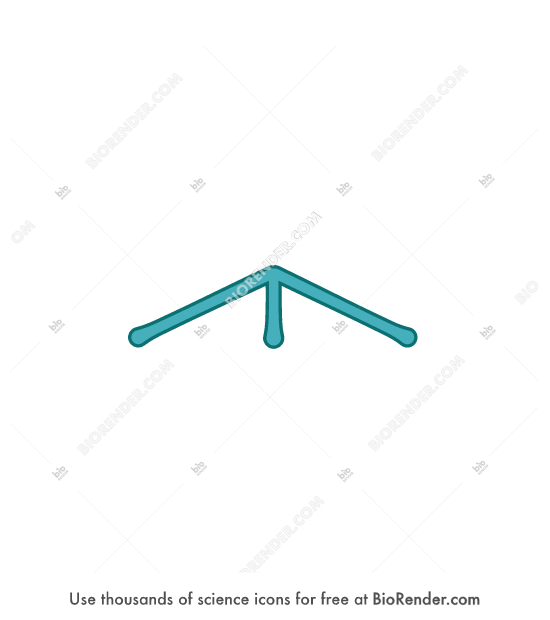 Clathrin (schematic side view) - Editable icon of side-view of clathrin triskelions showing 3 heavy chains with terminal domains