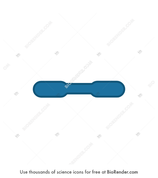 SMAD - Editable icon of linear SMAD protein with 2 MAD-homology domains joined by a linker domain