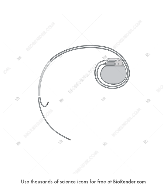 Lean Pacemaker Process Icon Free Pacemaker (in situ) Icons, Symbols & Images | BioRender