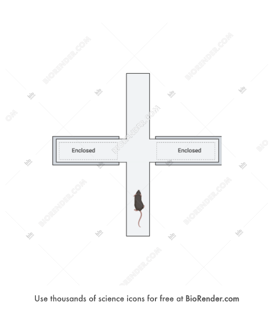 Free mouse elevated plus maze icons symbols images biorender