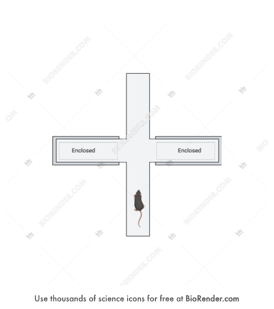 Mouse (elevated plus maze) - Editable icon of a top view of mouse behavior test consisting of box with smaller compartment, 2 food beakers, and mouse on middle strip