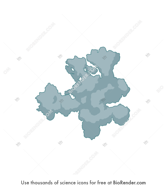 Spliceosome - Editable icon of Spliceosome