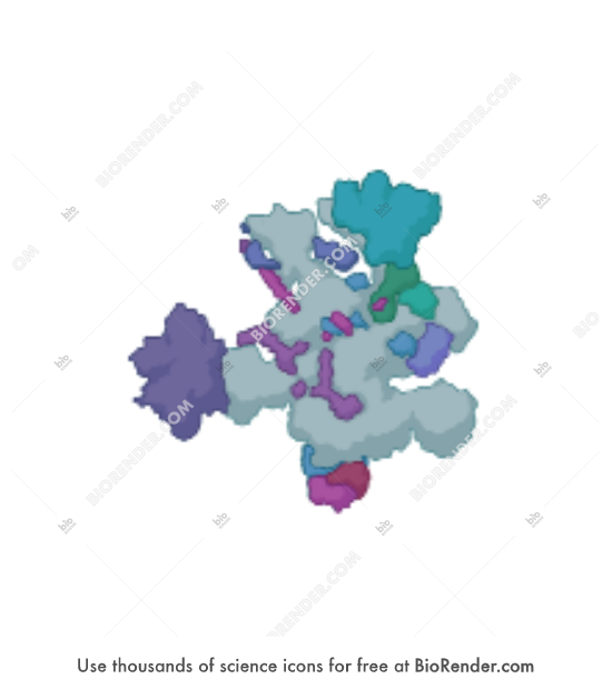 Spliceosome (human) - Editable icon of Spliceosome (human)