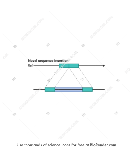 Genome structural variation (novel sequence insertion) - Editable icon of Genome structural variation (novel sequence insertion)