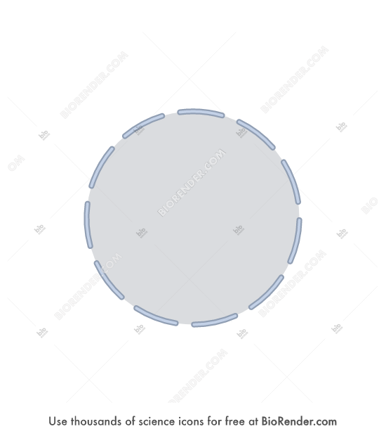 Membrane Module Icon Free Nuclear membrane (bilayer, porous, filled, medium) Icons, Symbols ...