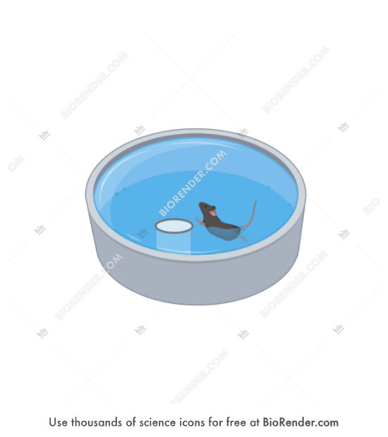 Mouse (morris water maze) - Editable icon of Mouse (morris water maze)