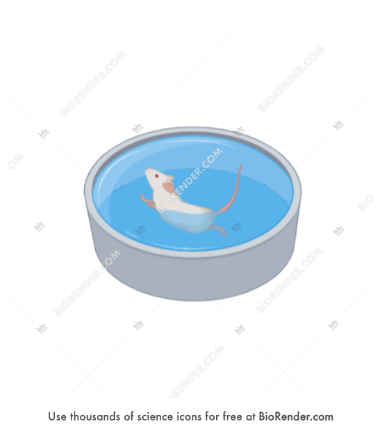 Free Mouse (forced swim test) Icons, Symbols & Images BioRender