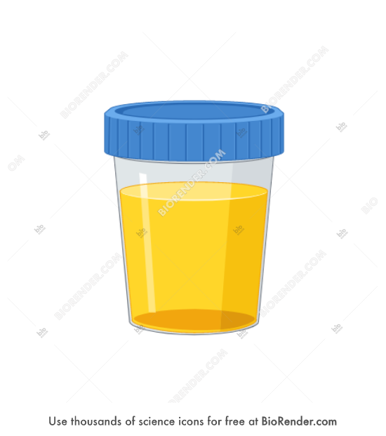 Free Urine sample Icons, Symbols & Images BioRender