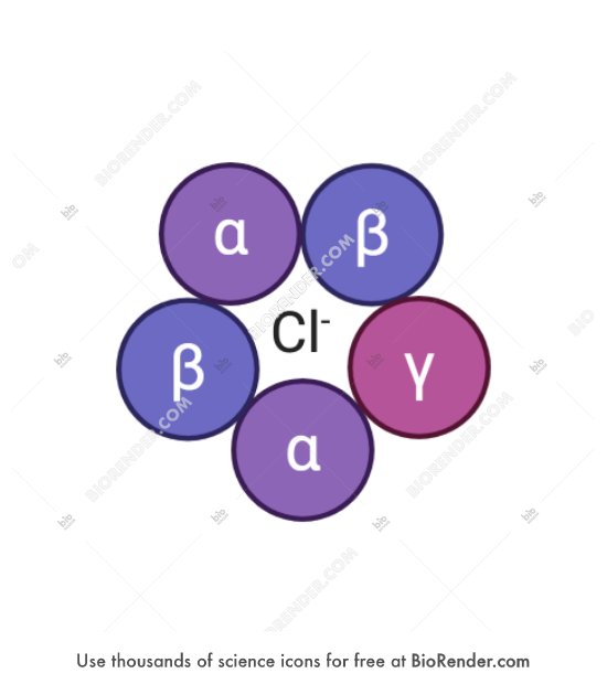 Free GABA A receptor Icons, Symbols & Images | BioRender