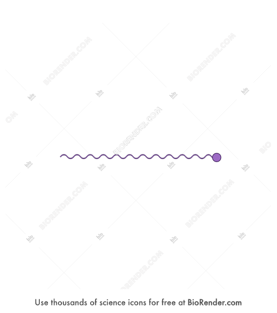 Collagen (type IV, monomer) - Editable icon of Monomer of type IV collagen, coiled