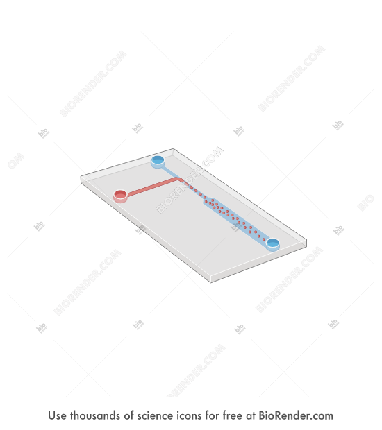 Free Tjunction micrifluidic device Icons, Symbols & Images BioRender