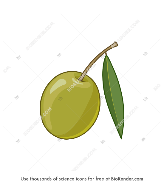 Free Olive Icons, Symbols & Images BioRender