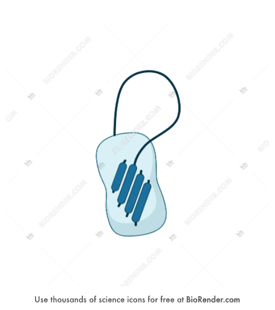 Serpin - Editable icon of Serpin, a cylindrical-shaped protein with a reactive loop and an a beta sheet