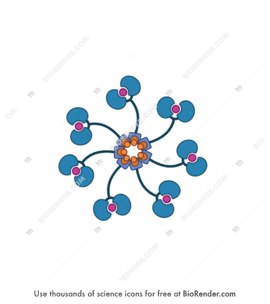 Free Apoptosome Icons, Symbols & Images | BioRender