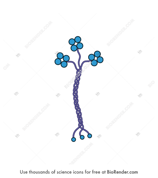 Free ColQ Icons Symbols Images BioRender