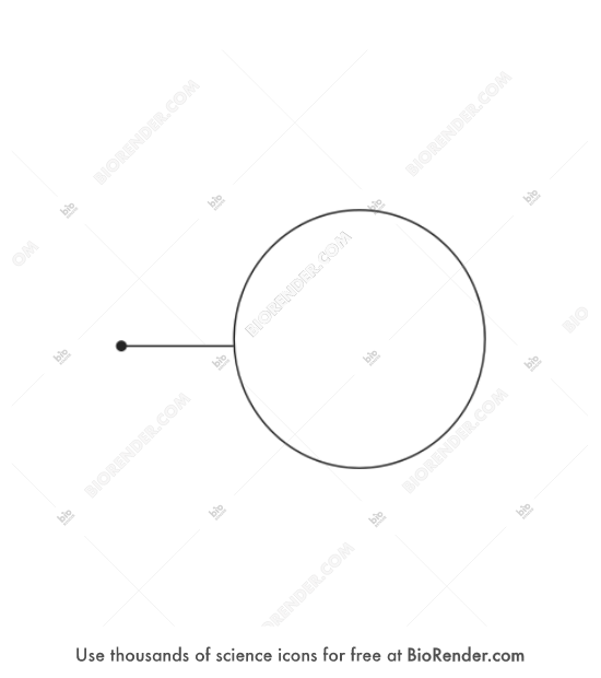 Free Label callout (circle, dot line) Icons, Symbols & Images | BioRender