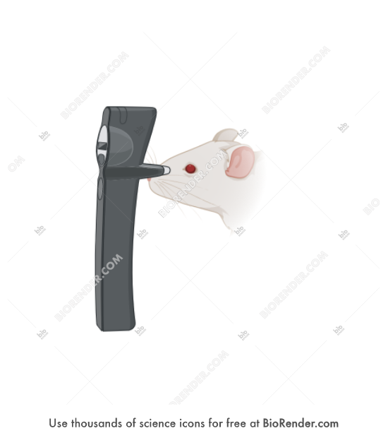 Free Tonometer (with mouse head) Icons, Symbols & Images | BioRender