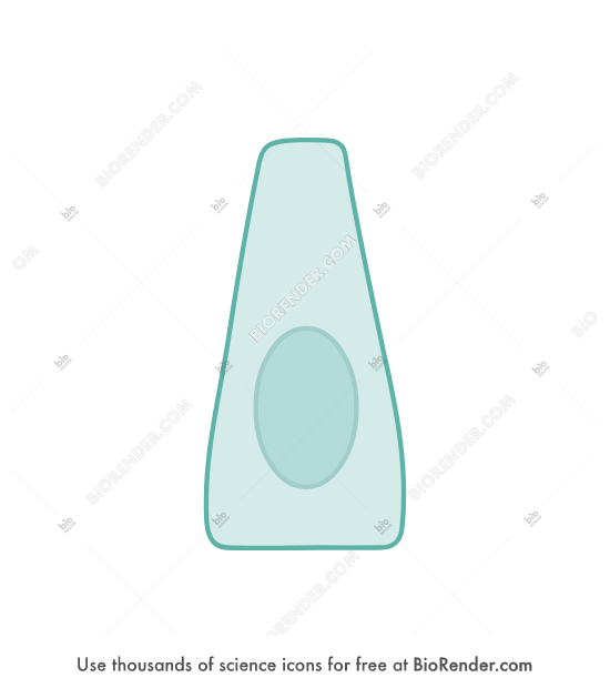 Free Triangular cell 2 Icons, Symbols & Images | BioRender