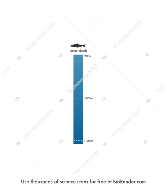 Free Ocean depth scale Icons, Symbols & Images BioRender
