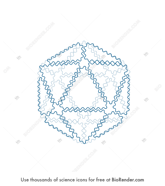 Free DNA origami (icosahedron, ssDNA) Icons, Symbols & Images | BioRender