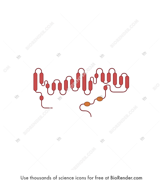 CLC5 - Editable icon of An 18 transmembrane alpha helix protein called CLC 5