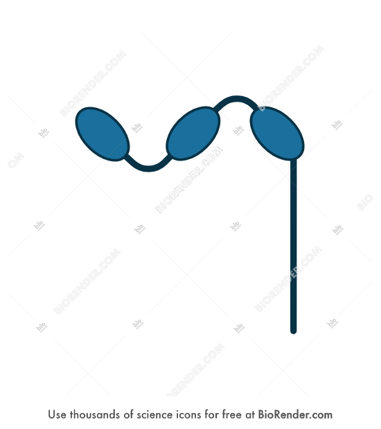 Free CD64 (alpha unit) Icons, Symbols & Images | BioRender