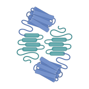 LGI1 (dimer)