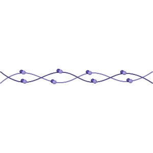 Tropomyosin (with troponin)