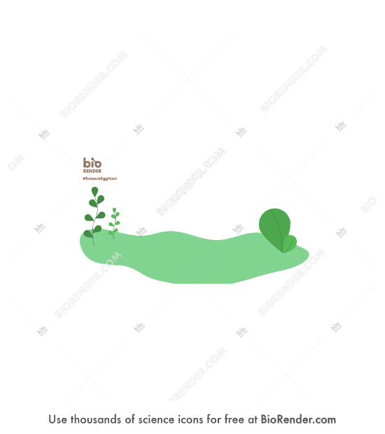 free-egg-hunt-background-icons-symbols-images-biorender