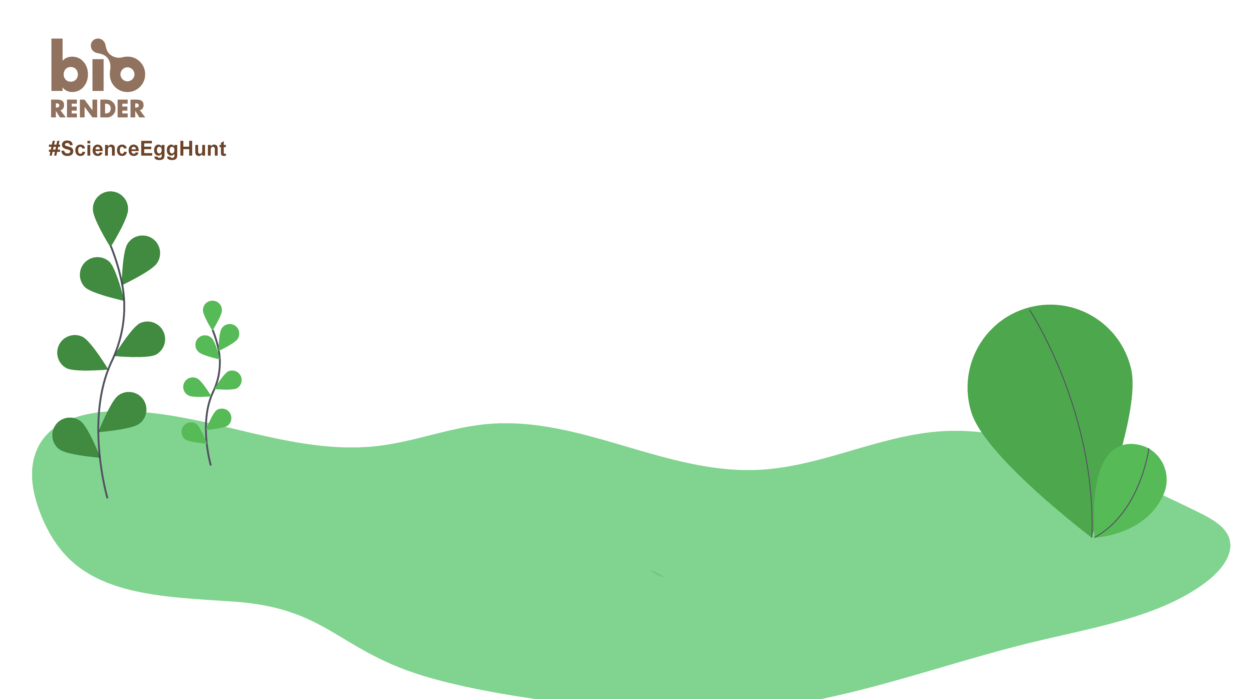 Egg Hunt Background