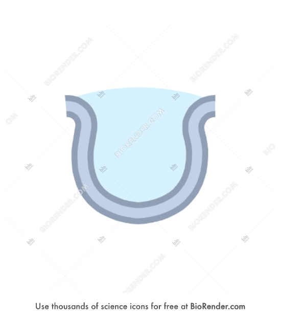 Free Vesicle (small, stage 2, filled) Icons, Symbols & Images | BioRender