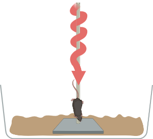 Pole test (curvy mouse trajectory)