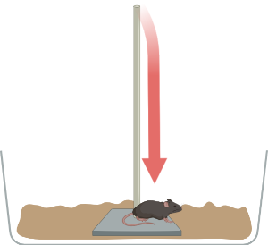 Pole test (straight mouse trajectory)