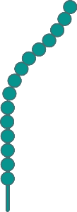 CD21 (editable)